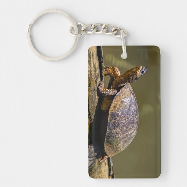 River Turtle at Tortuguero - Costa Rica Key Ring (Front)