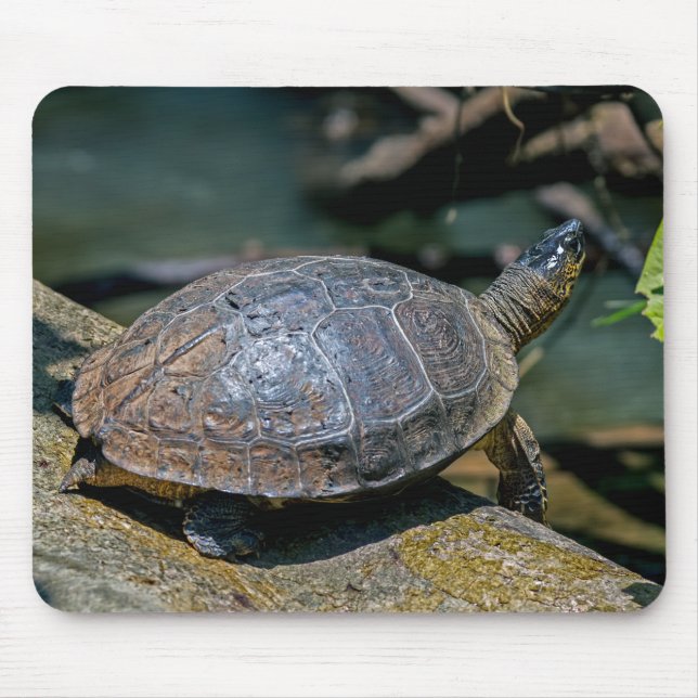 River Turtle at Tortuguero - Costa Rica Mouse Pad (Front)