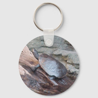 River Turtle Key Ring