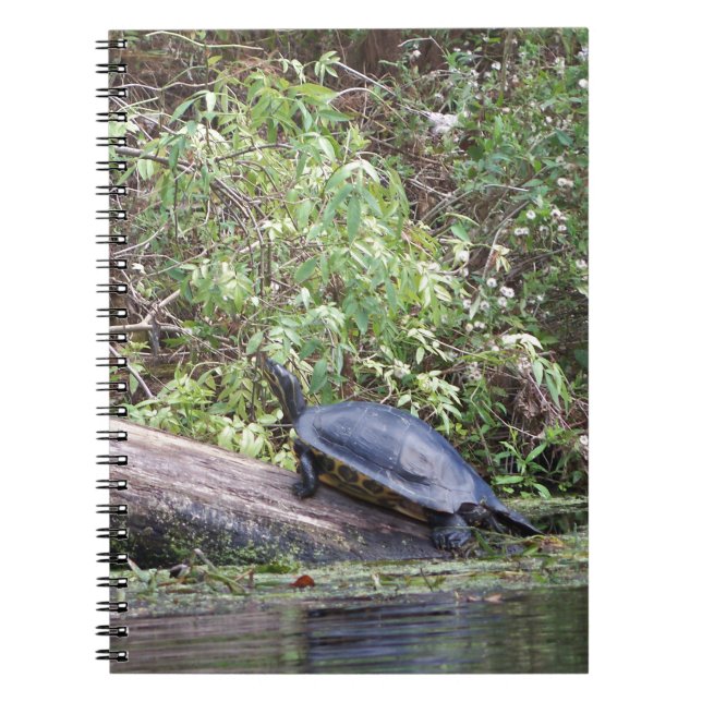 River turtle notebook (Front)