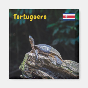 River Turtle sunbathing at Tortuguero - Costa Rica Magnet