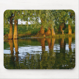 River Water and Trees Mouse Pad