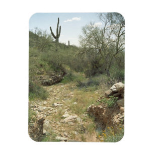 Riverbed Remembrance Decorative Desert Magnet