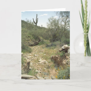 Riverbed Remembrance Greeting Card or Note Cards