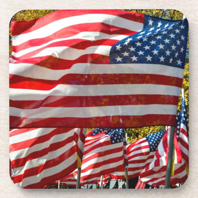 Riverdale, New York, USA. Wine country Coaster (Front)