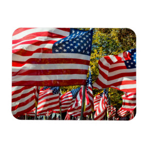 Riverdale, New York, USA. Wine country Magnet