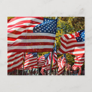 Riverdale, New York, USA. Wine country Postcard