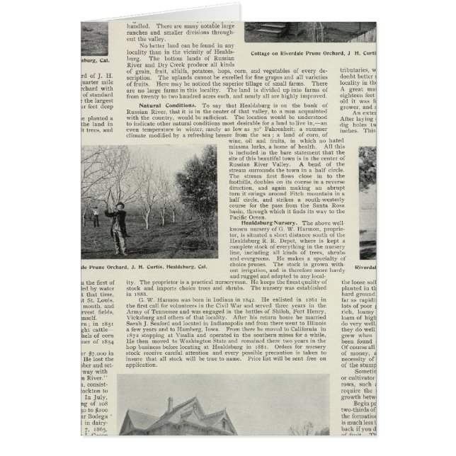 Riverdale Prune Orchard, California (Front)