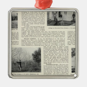 Riverdale Prune Orchard, California Metal Ornament