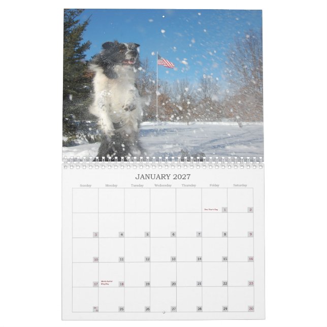 RiverRun Border Collies 2012 Calendar (Jan 2027)