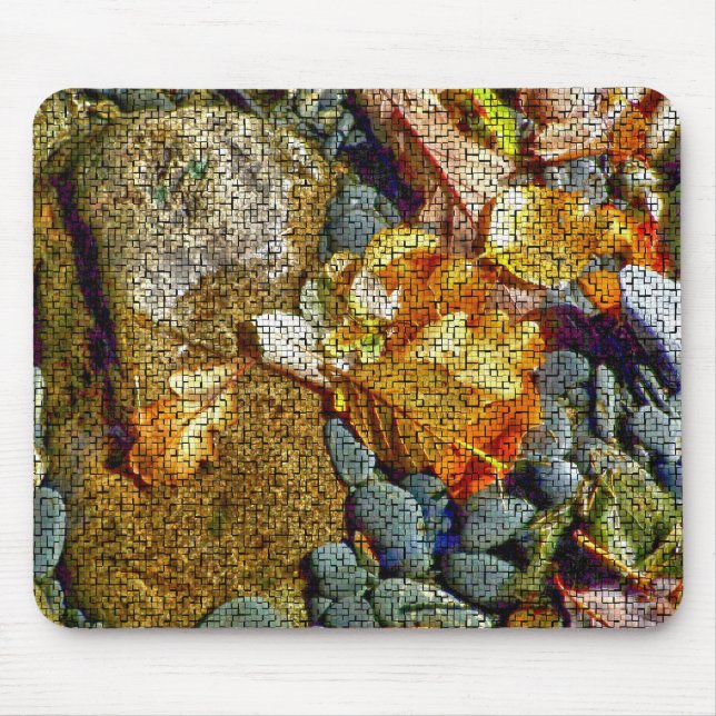 RIVERS MOUSE PAD (Front)