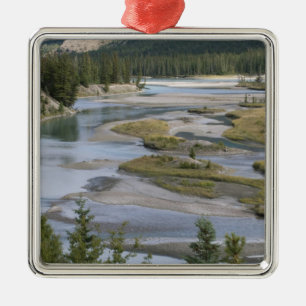 Rivers run through a lowland section of Jasper Metal Tree Decoration