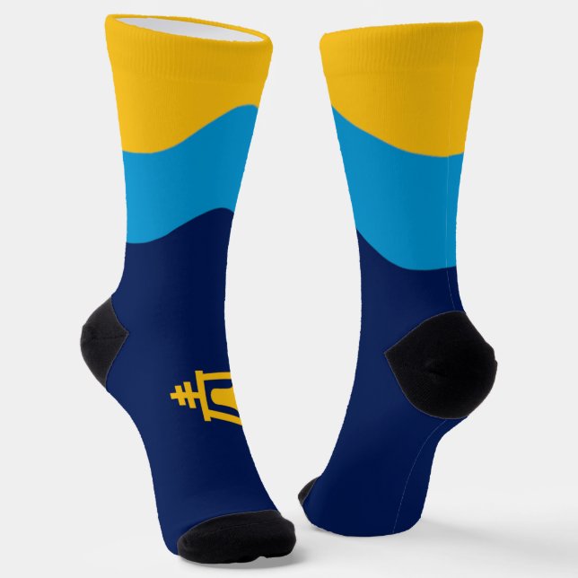 Riverside (California) city flag Socks (Angled)