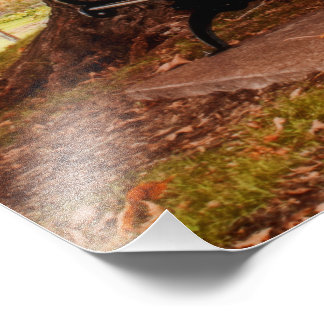 Riverside Park Benches Photo Print