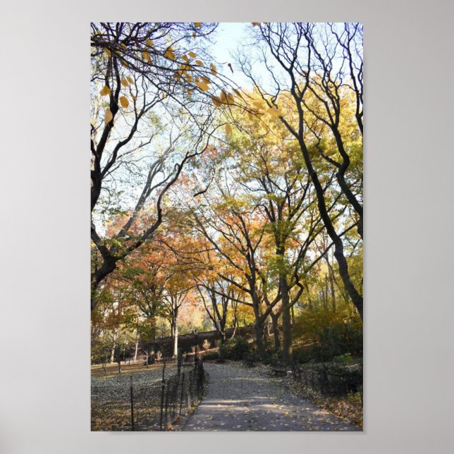 Riverside Park Fall Foliage New York Autumn NYC Poster (Front)