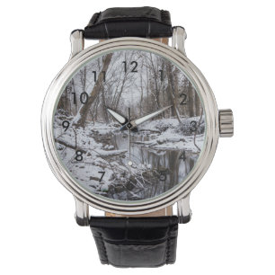 Riverside Snow Watch