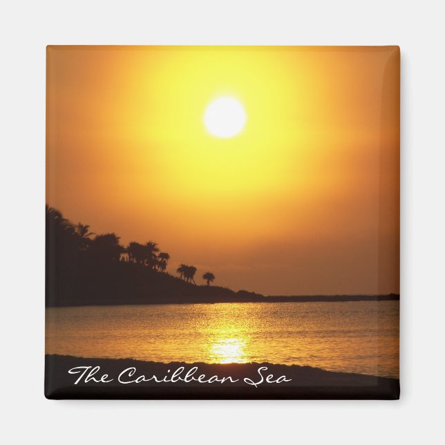 Riviera Maya Cancun Mexico Caribbean Sea Magnet (Front)