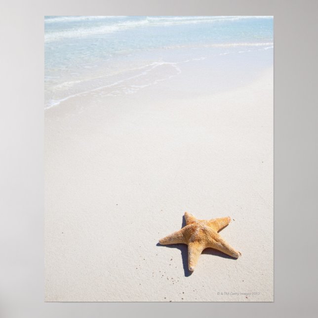 Riviera Maya Poster (Front)