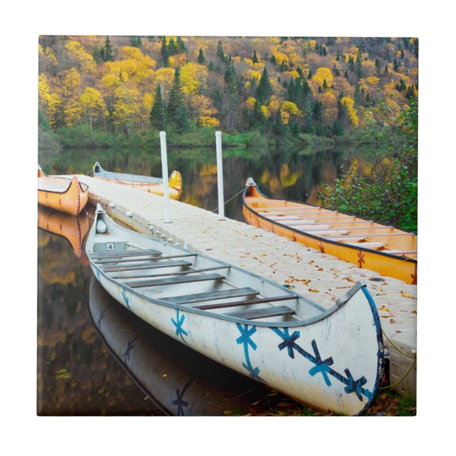 Rivière Jacques-Cartier | Rabaskas Dock Ceramic Tile (Front)