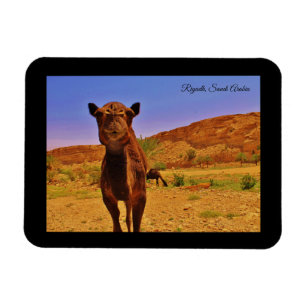 Riyadh, Saudi Arabia Magnet
