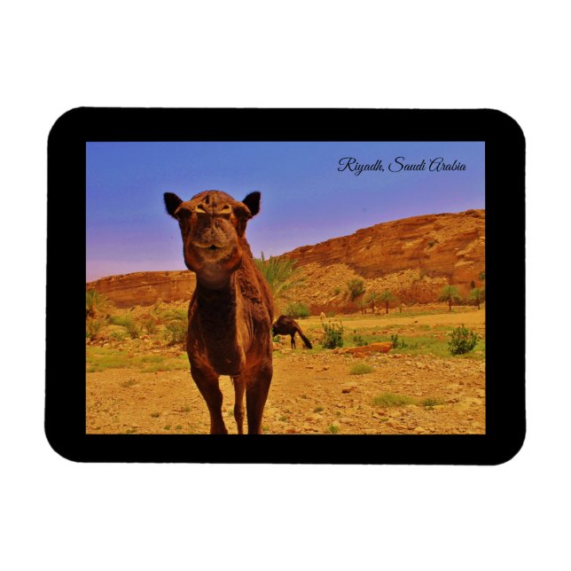 Riyadh, Saudi Arabia Magnet (Horizontal)