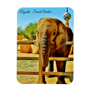 Riyadh, Saudi Arabia Magnet