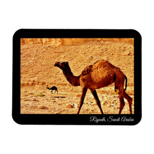 Riyadh, Saudi Arabia Magnet