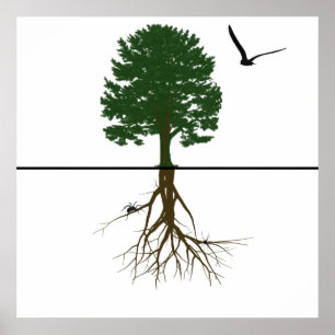 Riyah-Li Designs Roots Poster