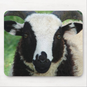RJ the Jacob Ram Lamb Mouse Pad