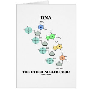 RNA The Other Nucleic Acid (Chemical Structure)
