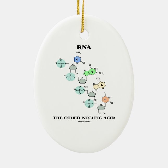 RNA The Other Nucleic Acid (Chemical Structure) Ceramic Ornament (Back)