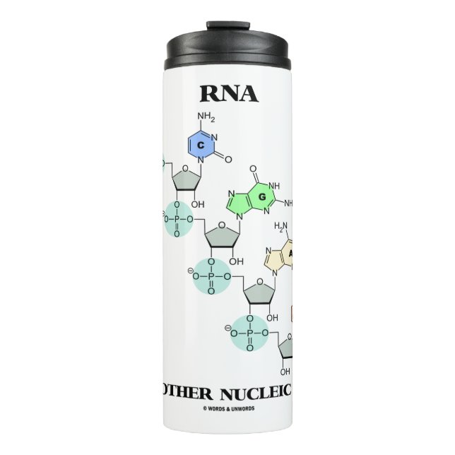 RNA The Other Nucleic Acid Chemical Structure Thermal Tumbler (Front)
