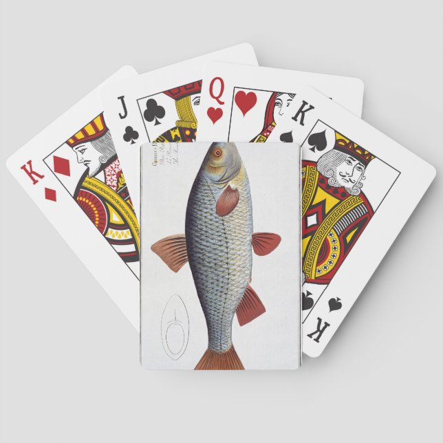Roach (Cyprinus Rutilis) plate II from 'Ichthyolog Playing Cards (Back)