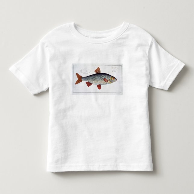 Roach (Cyprinus Rutilis) plate II from 'Ichthyolog Toddler T-Shirt (Front)
