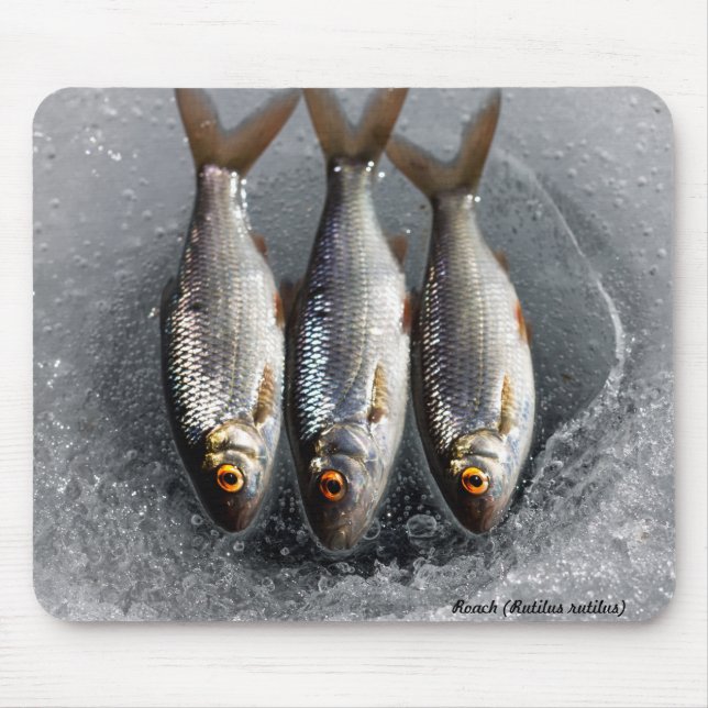 Roach Mouse Pad (Front)