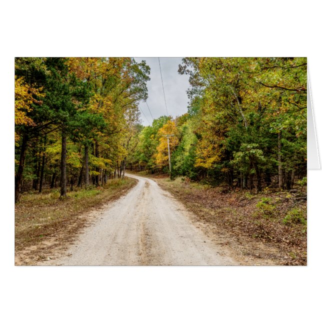 Road At Seasons Change (Front Horizontal)