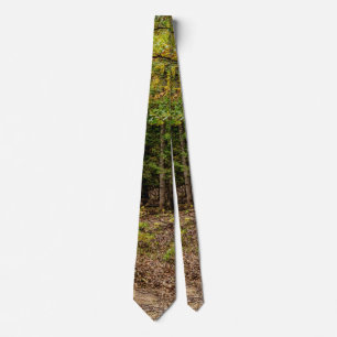 Road At Seasons Change Neck Tie