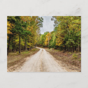 Road At Seasons Change Postcard