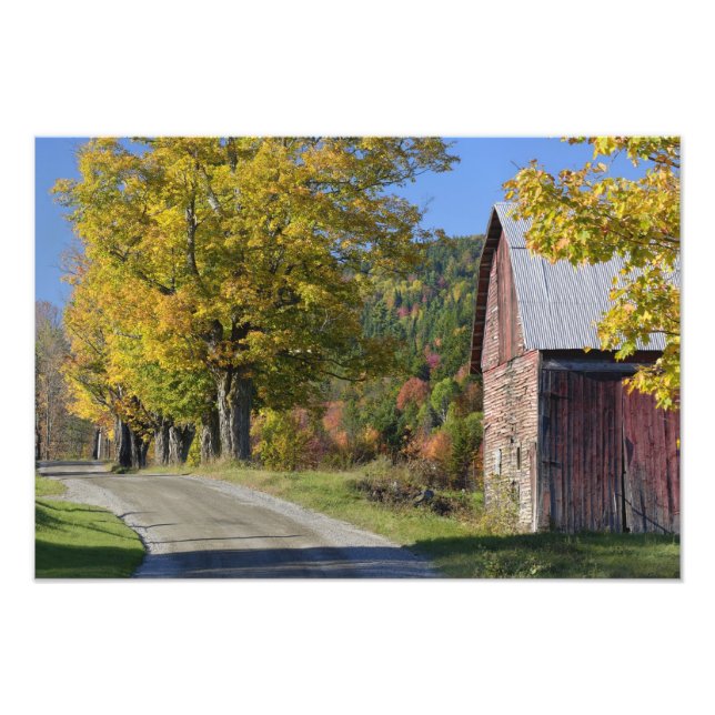 Road beside classic rural barn/farm in autumn, 2 photo print (Front)