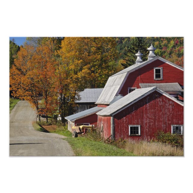 Road beside classic rural barn/farm in autumn, photo print (Front)