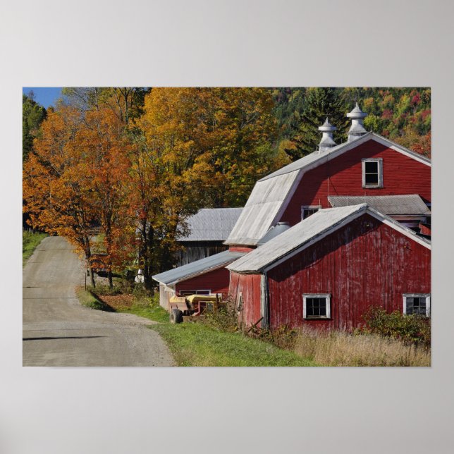 Road beside classic rural barn/farm in autumn, poster (Front)
