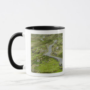 Road between Ballaghacahreen and Caherkeen. Mug