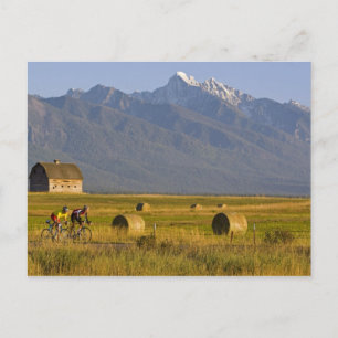 Road bicyclists race down back country road in postcard