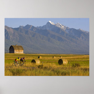 Road bicyclists race down back country road in poster