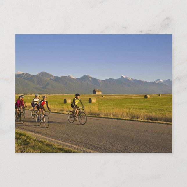 Road bicyclists ride down a back country road postcard (Front)