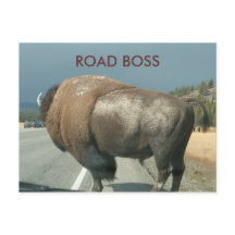 ROAD BOSS postcard