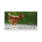 Road Crossing Chicken business card