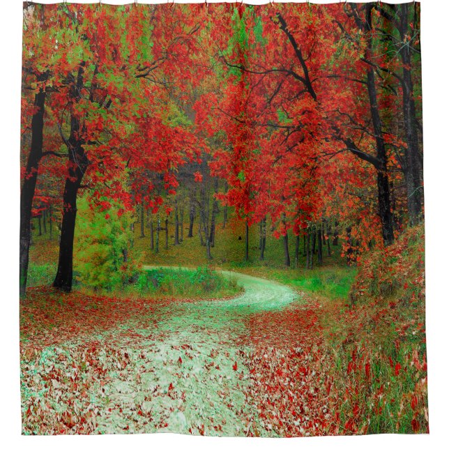 ROAD FOREST TREES BOTANICAL NATURE LANDSCAPE   SHOWER CURTAIN (Front)