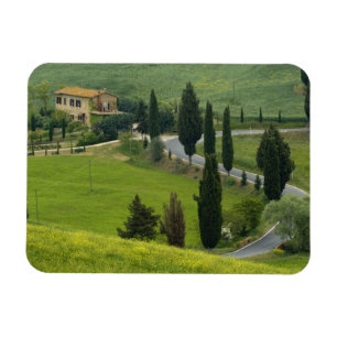 Road from Pienza to Montepulciano, 2 Magnet
