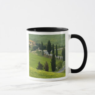 Road from Pienza to Montepulciano, 2 Mug